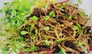 今日二伏你吃面了吗