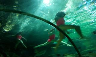 富国海底世界好玩吗