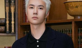 王一博回应骨头项链